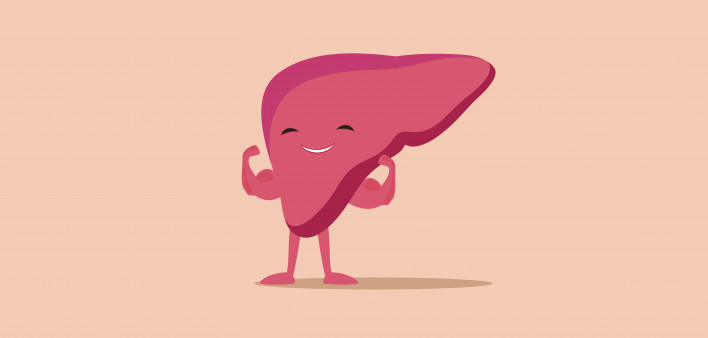 illustration of liver flexing muscles