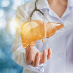 Doctor and liver illustration