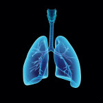 illustration lungs esophagus