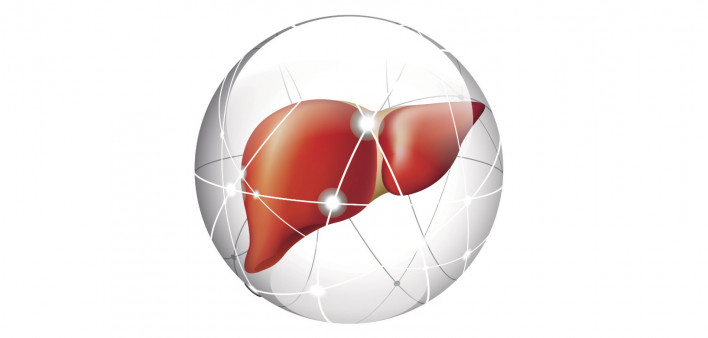 liver, liver cancer