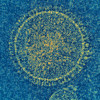 Photomicrographic image of respiratory syncytial virus (RSV)