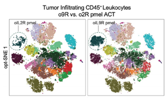 Toward the next generation of CAR-T cell therapies