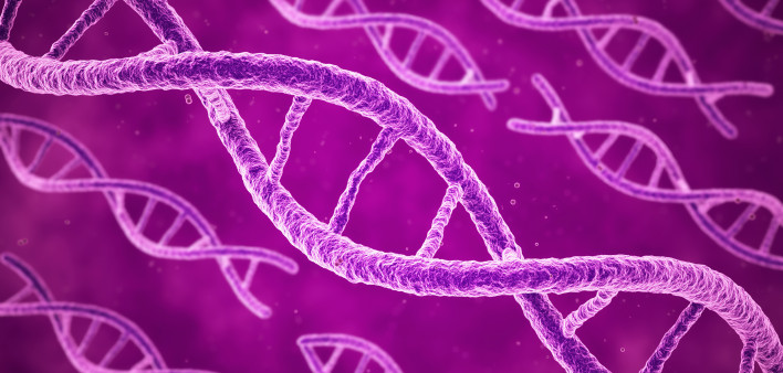 DNA-pink