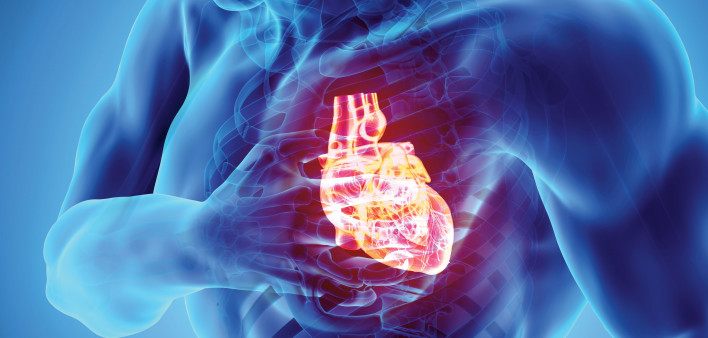 illustration heart in mans chest