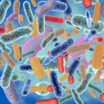 abstract image of colorful bacteria