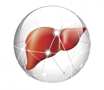 liver, liver cancer