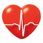 heart and beat wave illustration