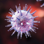 Epstein-Barr virus illustration