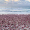 A scene from artist Spencer Tunick’s November 26, 2022, installation in Australia to raise awareness of skin cancer