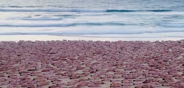 A scene from artist Spencer Tunick’s November 26, 2022, installation in Australia to raise awareness of skin cancer