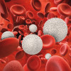 3D rendering of white and red blood cells