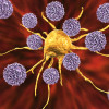 T cells attack a cancer cell