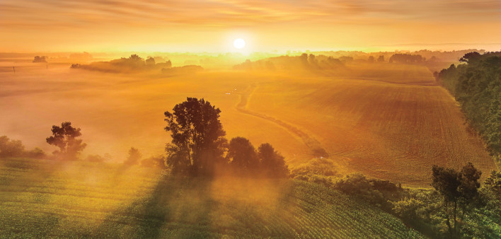 beutiful sunrise over meadow