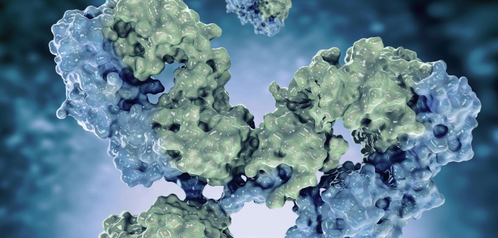 antibodies