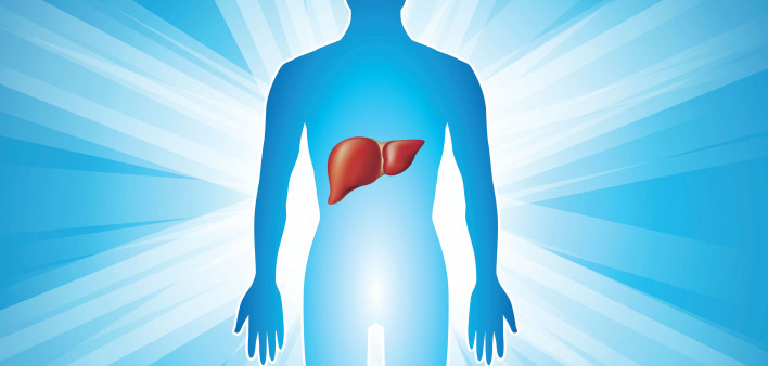illustration figure and liver