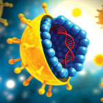 HCV Virus
