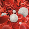 3D rendering of white and red blood cells