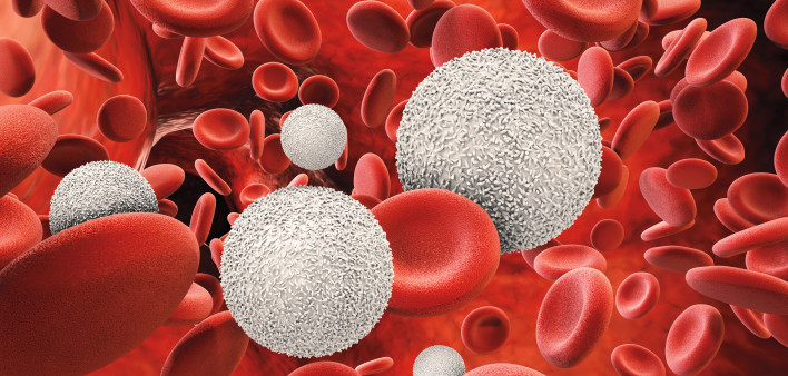 3d rendering white blood cells with red blood cells
