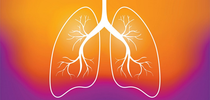 illustration outline of lungs