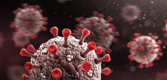 coronavirus