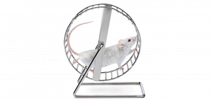 white mouse on wheel