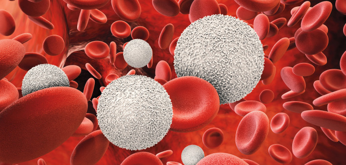 3d rendering white blood cells with red blood cells