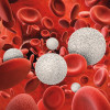 3D rendering of white and red blood cells