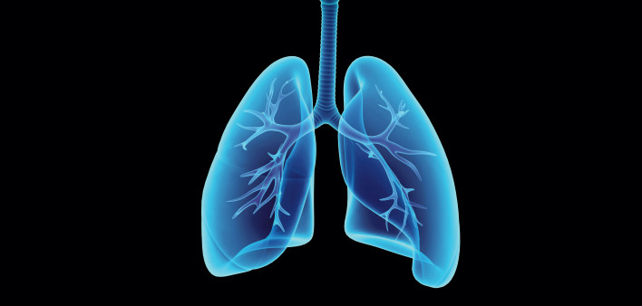 illustration lungs esophagus