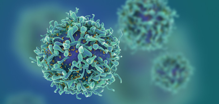 T-cells