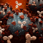Monoclonal antibodies or immunoglobulin fighting against a group of coronavirus or covid cells