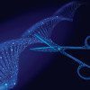 CRISPR dna gene editing scissors