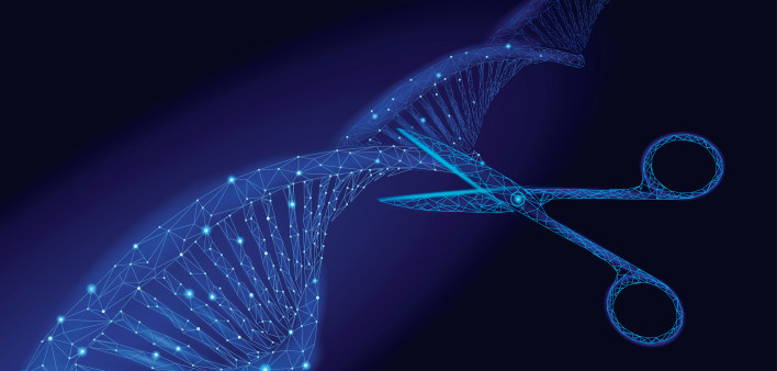 CRISPR dna gene editing scissors