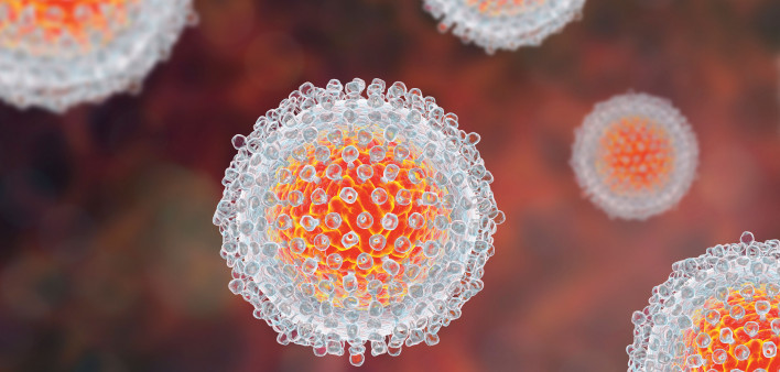 Hepatitis C virus model, 3D illustration.