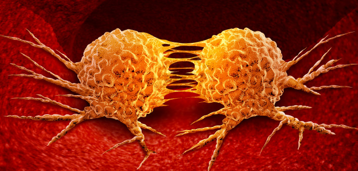 Dividing cancer cell metastasis