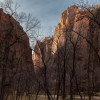 Canyon in Zion National Park along the Virgin River