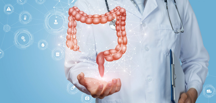 Doctor shows the colon of a person