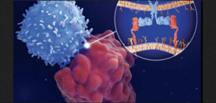 CAR-T therapy used in cancer by Damon Runyon researchers