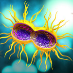 gonorrhea