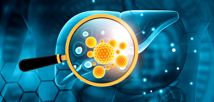 liver, virus, hepatitis B, hepatitis C Human liver