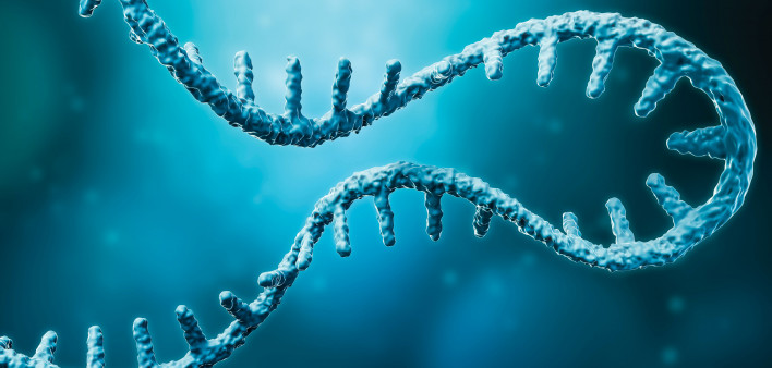 3D rendering of messenger RNA, or mRNA, strand