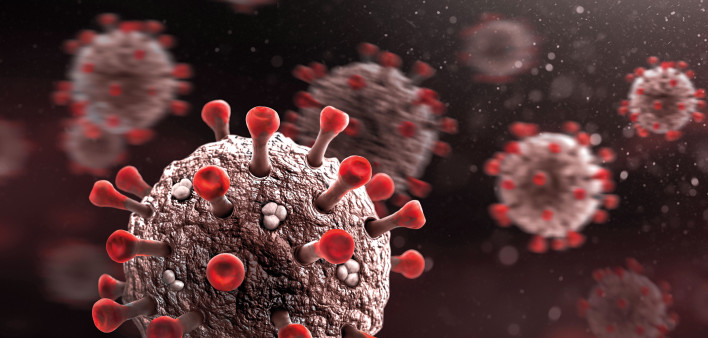 coronavirus