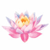 illustration lotus flower