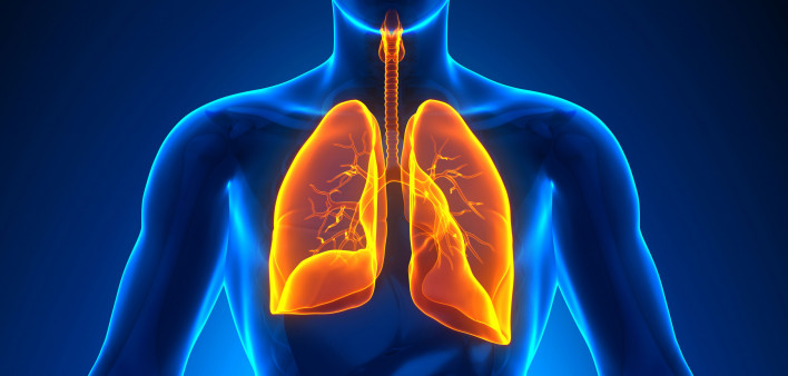 illustration lungs male figure