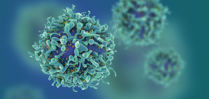T-cells