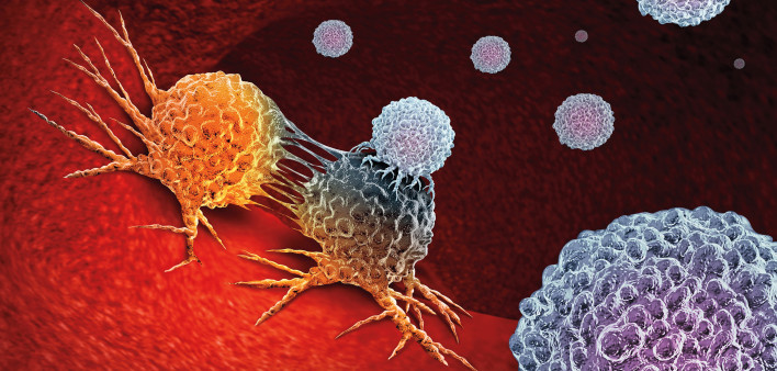 Cancer Immunotherapy as a human immune system therapy concept as a biomedical or biomedicine oncology treatment using the natural T cell fighting properties of the body as a 3D render.