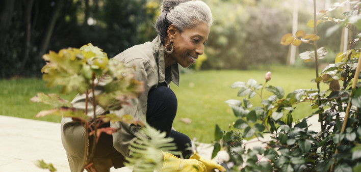 Retired senior woman gardening in back yard