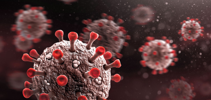 coronavirus
