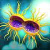 gonorrhea