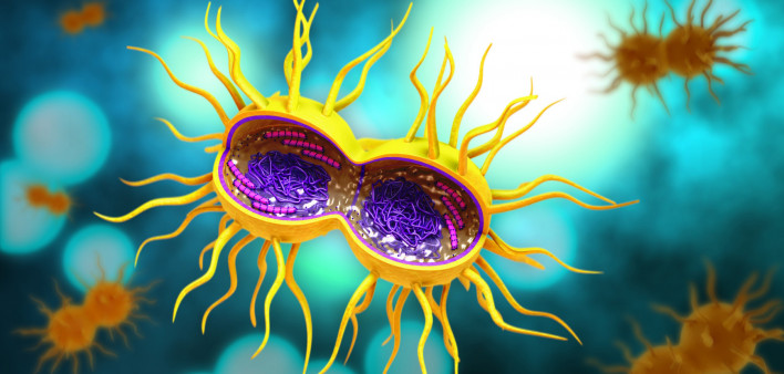 gonorrhea