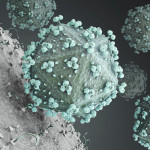 hiv virus